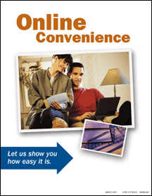 Online Convenience - Snap Shot Series
