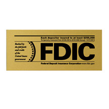 Magnetic FDIC Replacement Strip - 7w x 3h