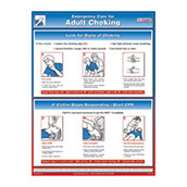 Emergency Care for Choking Poster - 18w x 24h