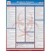 Bloodborne Pathogen Fact and Safety Poster - 18w x 24h