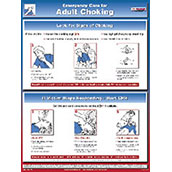 Emergency Care for Choking Poster - 18w x 24h