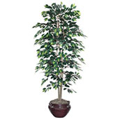6 ft Artifical Ficus Tree