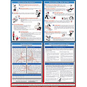 4 on 1 Space Saver C Poster - 18w x 24h