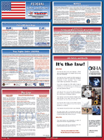 Federal Labor Law Compliance Poster - 18w x 24h