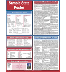 State Labor Law Poster 18x24