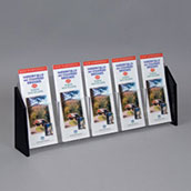 Literature Holder with Angled Sides - 4w