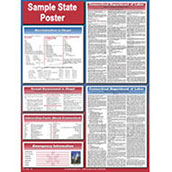 State Labor Law Poster 18x24